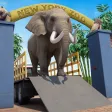 Farm Animal Rescue Game Farm Animal Rescue Game