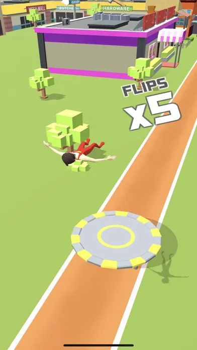 صور Super Flip Star