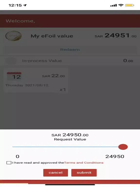 تصاویر eFoil iPad 
