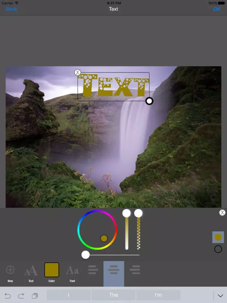 Capturas de pantalla de Photo Wizard 2 iPad 