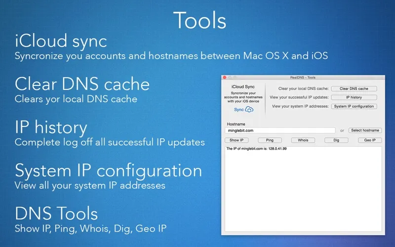 RealDNS - Dynamic DNS স্ক্রিনশট
