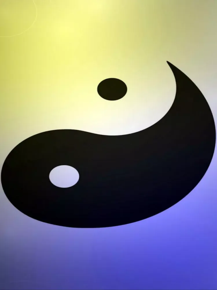 太极拳－陈氏太极拳74式视频教学 iPad  Screenshots