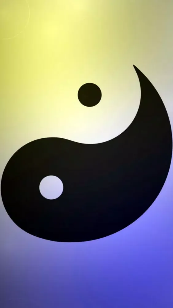 太极拳－陈氏太极拳74式视频教学 Screenshots