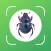 What bug is this Identify bugs