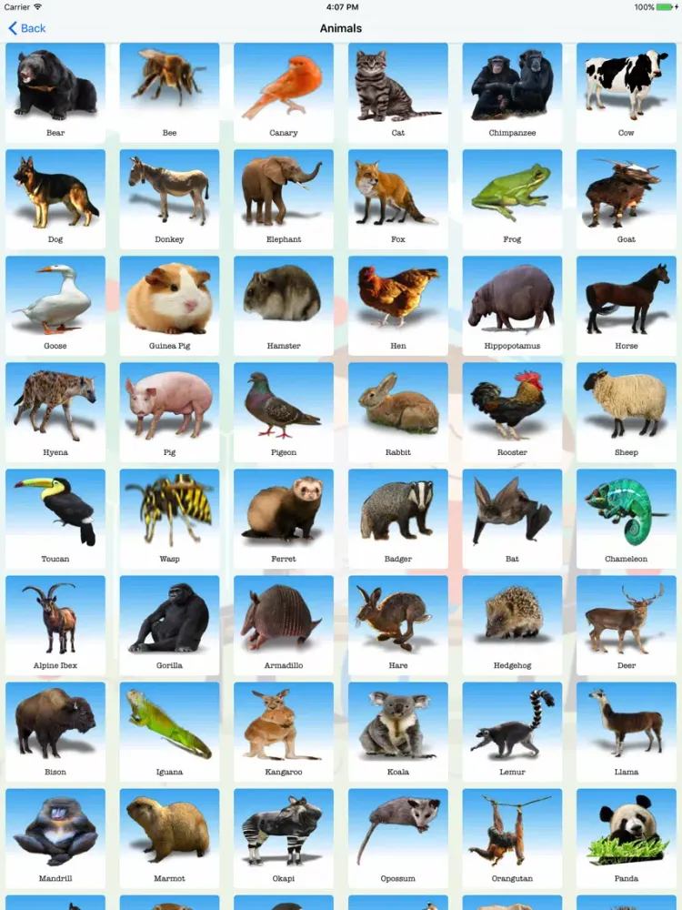 Animals Planet iPad  Screenshots