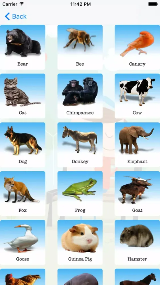 Animals Planet Screenshots