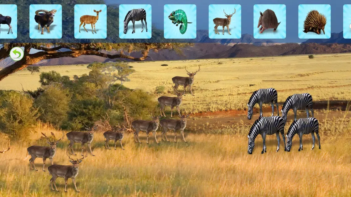Animals Planet Screenshots