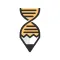 ipencil