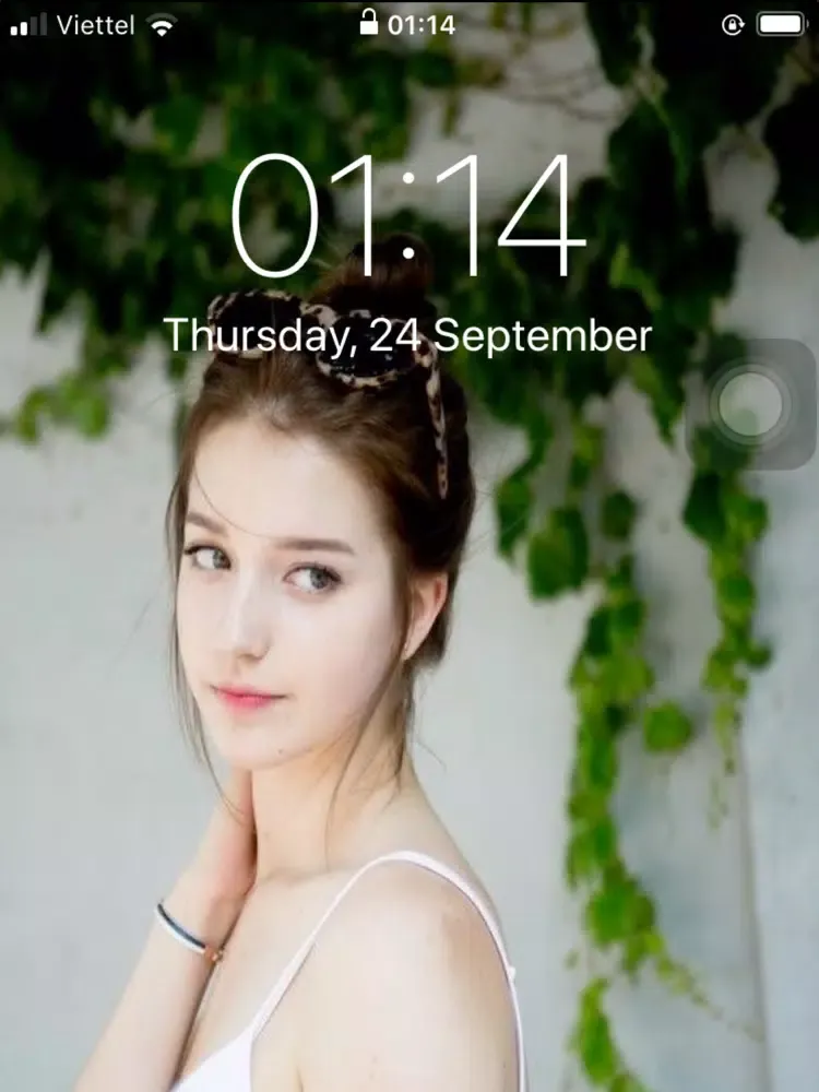 Screenshot di Make Live Wallpaper iPad 