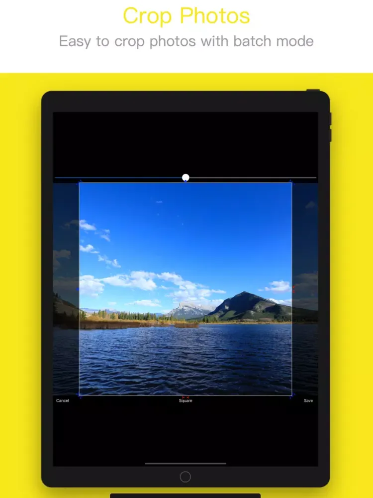 Image EXIF Viewer iPad  Screenshots