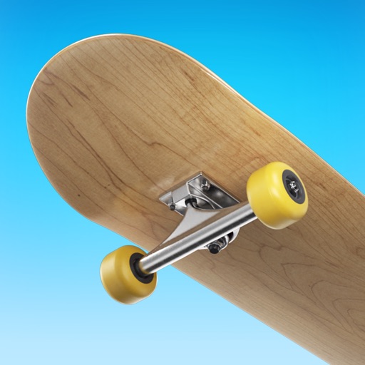 Flip Skater Flip Skater