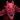 Hyper Dungeon