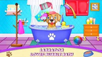 Labrador Pet Daycare Ekran Görüntüleri