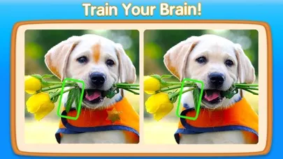 Can You Spot It－5 Differences سکرین شاٹس