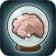 Primate Memory