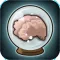 Primate Memory