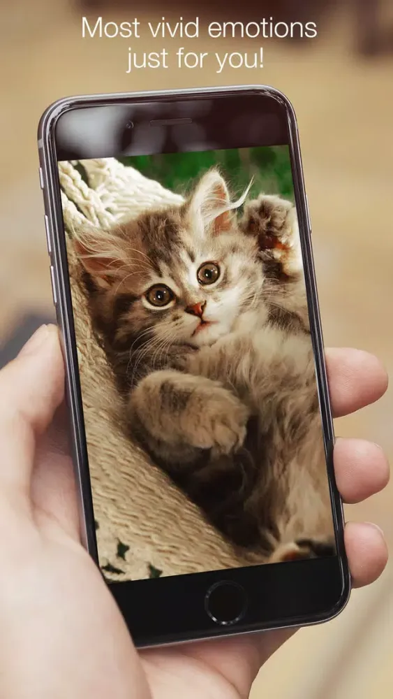 Screenshot di Animals fluffy, beautiful, lovely