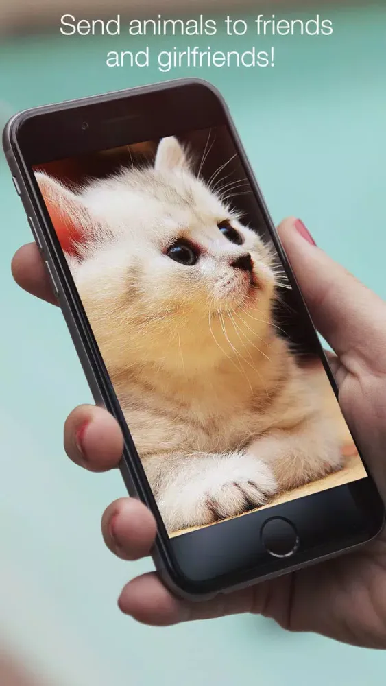 Screenshot di Animals fluffy, beautiful, lovely