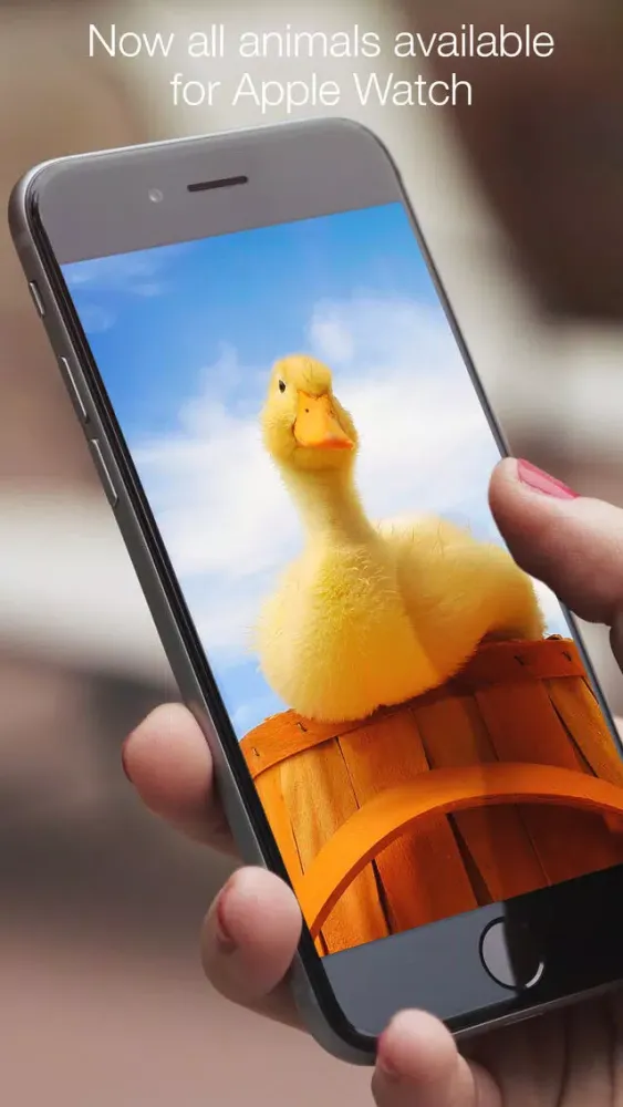 Screenshot di Animals fluffy, beautiful, lovely