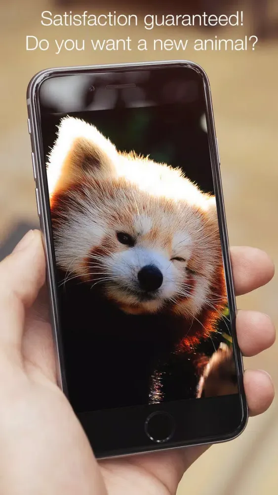 Screenshot di Animals fluffy, beautiful, lovely