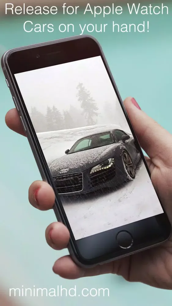 تصاویر Cars Now!