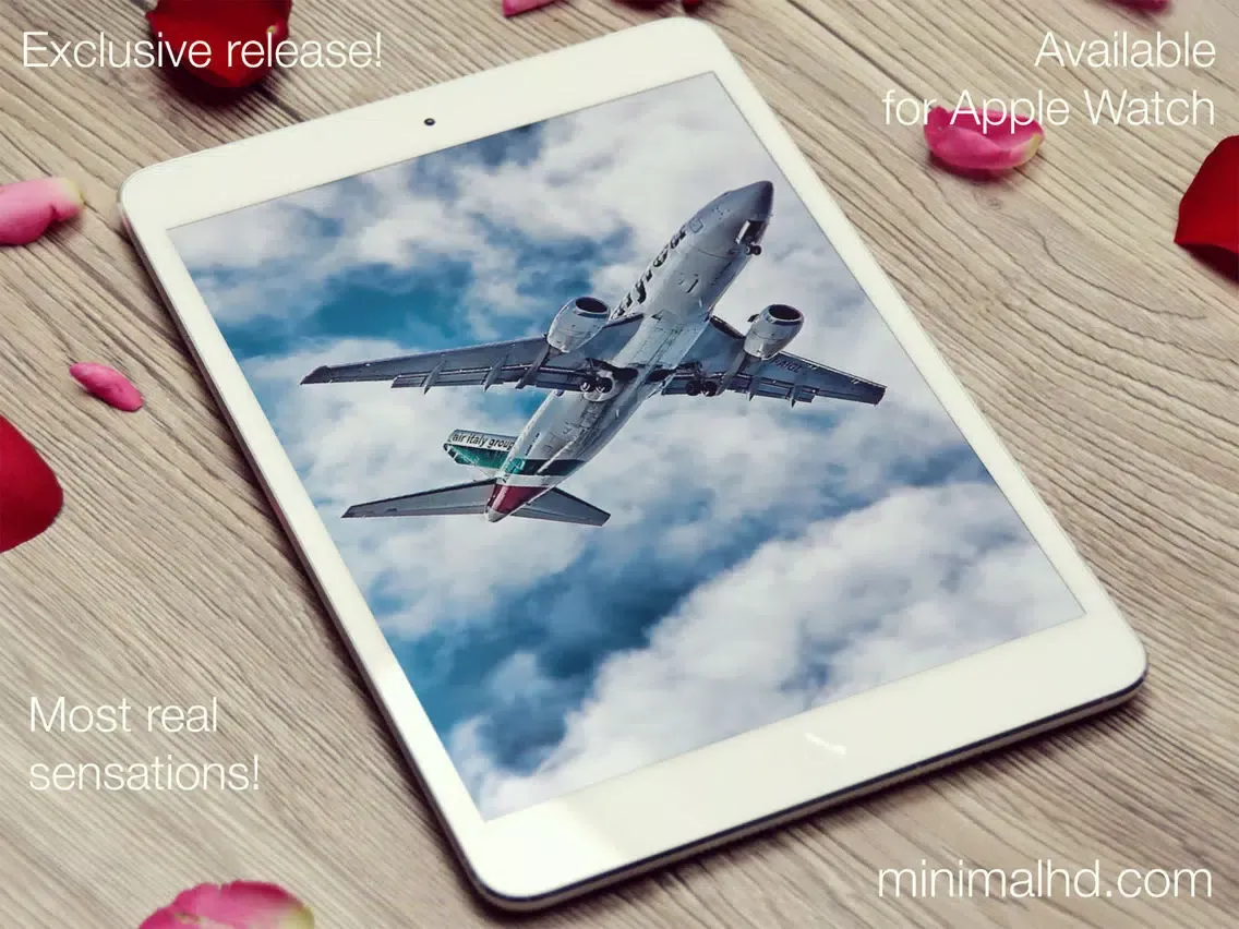 Planes & Helicopters iPad 應用截圖