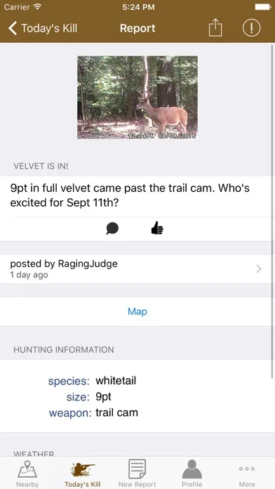 Capturas de pantalla de Hunt iReports
