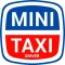 Mini Taxi Driver