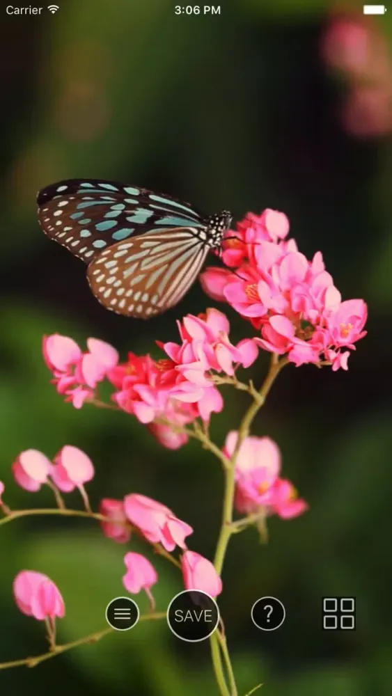 Tangkapan layar Live Wallpaper.s - Dynamic Wallpaper for iPhone