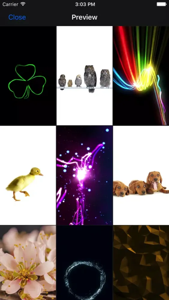 Tangkapan layar Live Wallpaper.s - Dynamic Wallpaper for iPhone