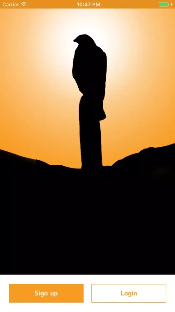صور Hero's Journey Foundation