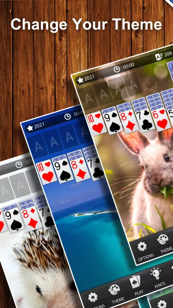 Solitaire Classic Ekran Görüntüleri
