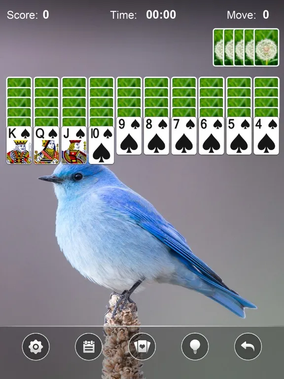 Spider Solitaire by Mint iPad  سکرین شاٹس