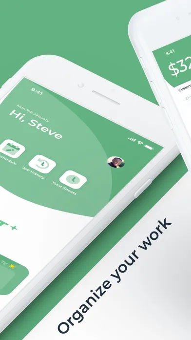 Tangkapan layar Mint Service Pro