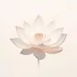 One Minute Meditations