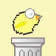 Happy Bird - Playful Afterlife