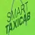 Smart Taxi llc