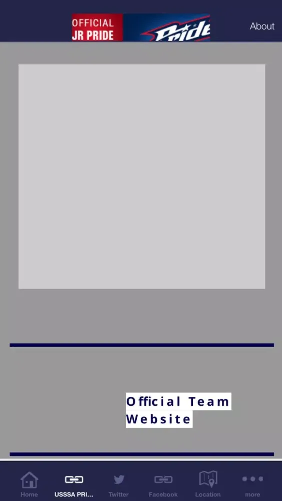 Screenshot di USSSA PRIDE-SHEELEY
