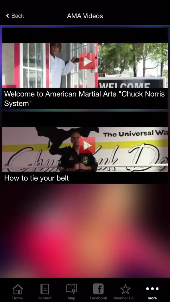 AMERICAN MARTIAL ARTS TRAINING Screenshots