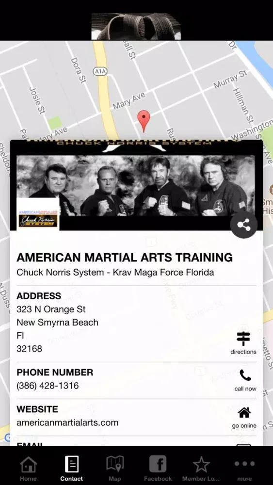 AMERICAN MARTIAL ARTS TRAINING Screenshots