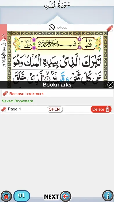 Capturas de tela do Surah Mulk with Sound