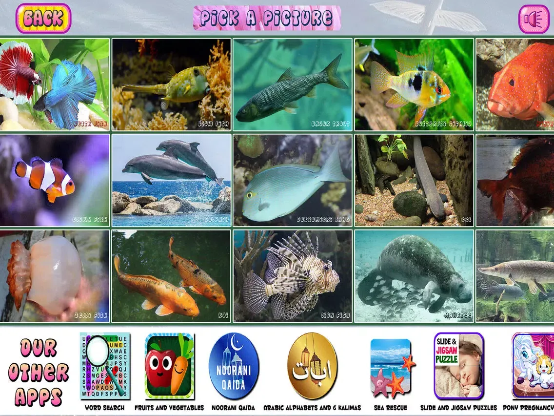 ภาพหน้าจอของ Puzzles of Aquatic Animals iPad 