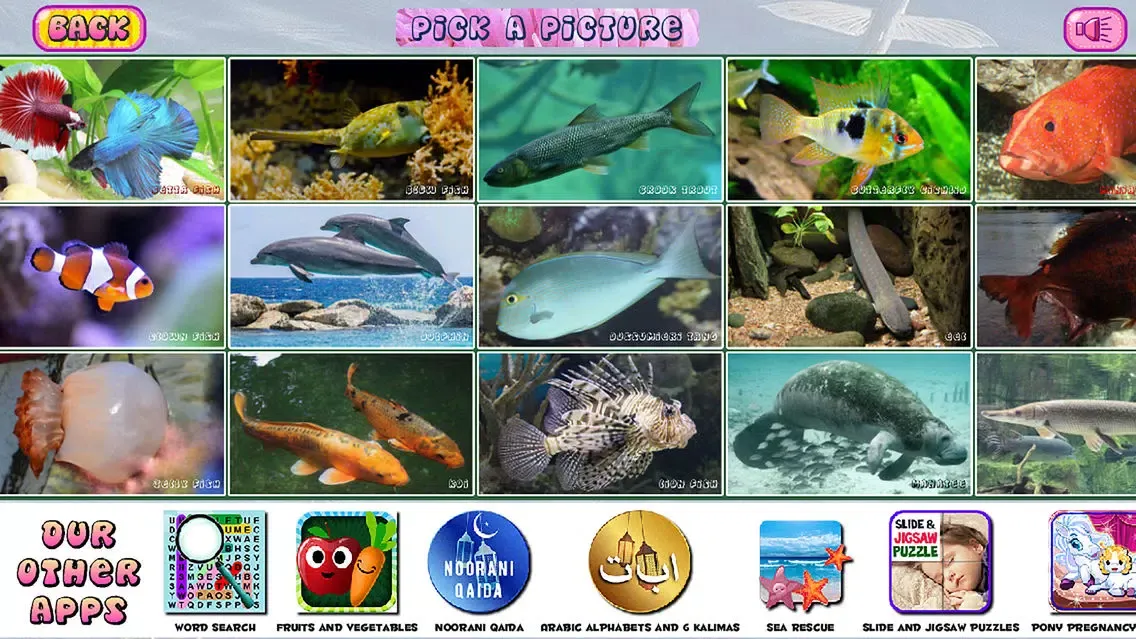 ภาพหน้าจอของ Puzzles of Aquatic Animals