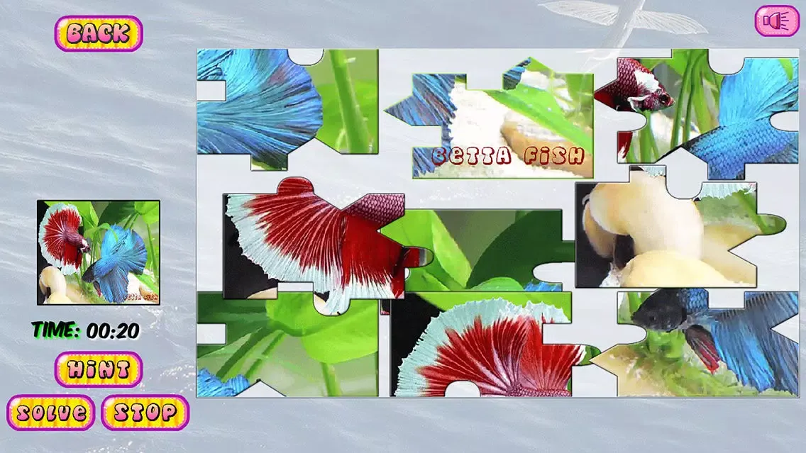 ภาพหน้าจอของ Puzzles of Aquatic Animals