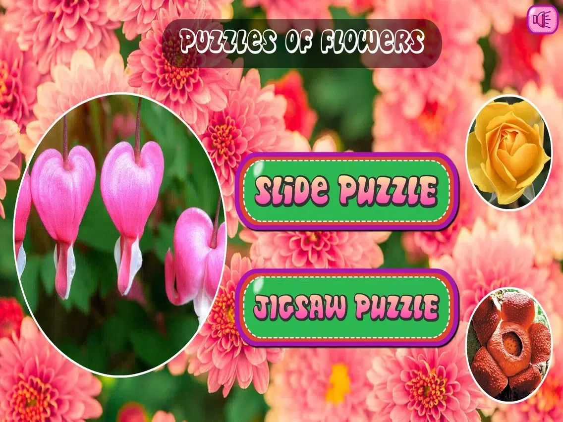 Puzzles of Flowers iPad 应用截图