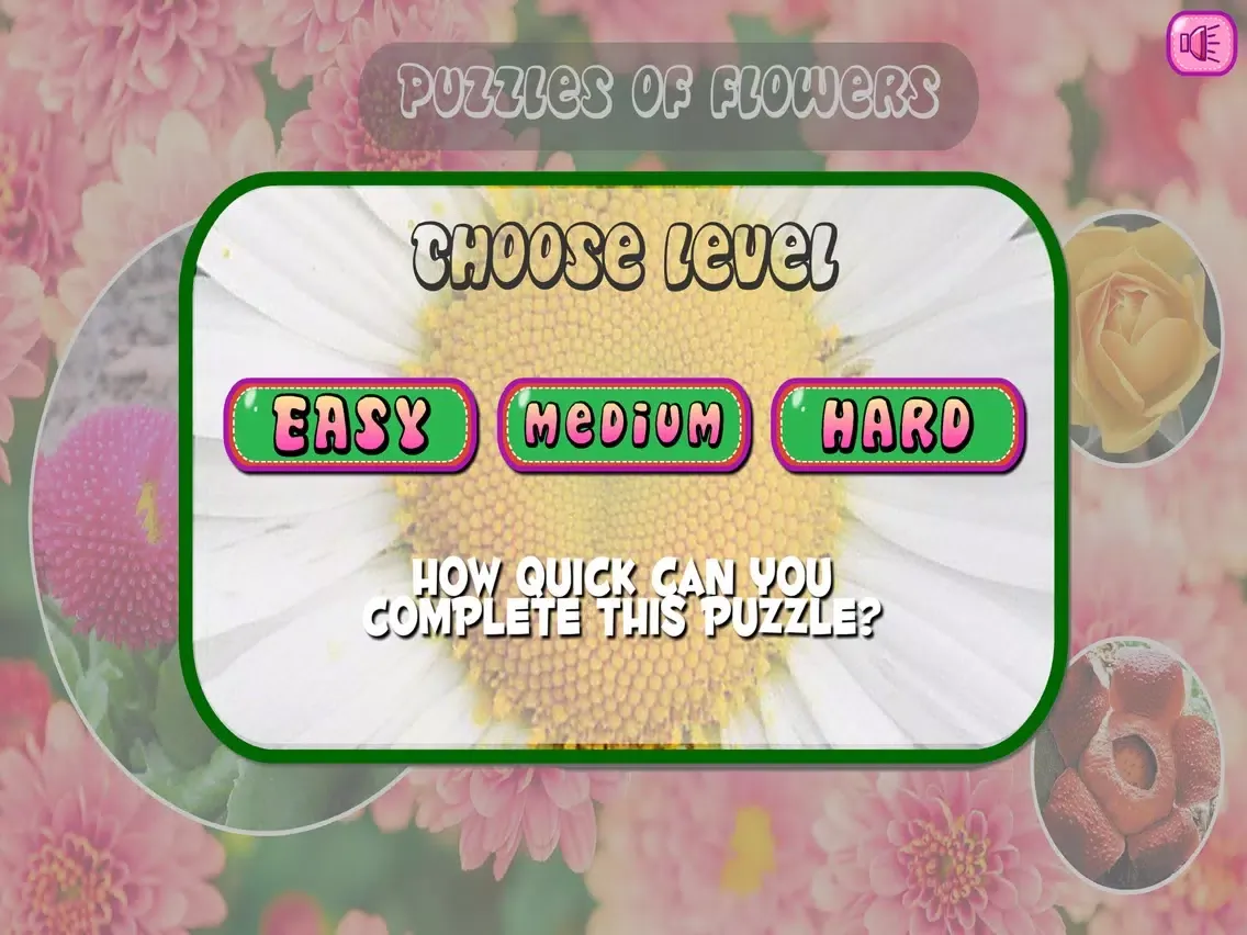 Puzzles of Flowers iPad 应用截图