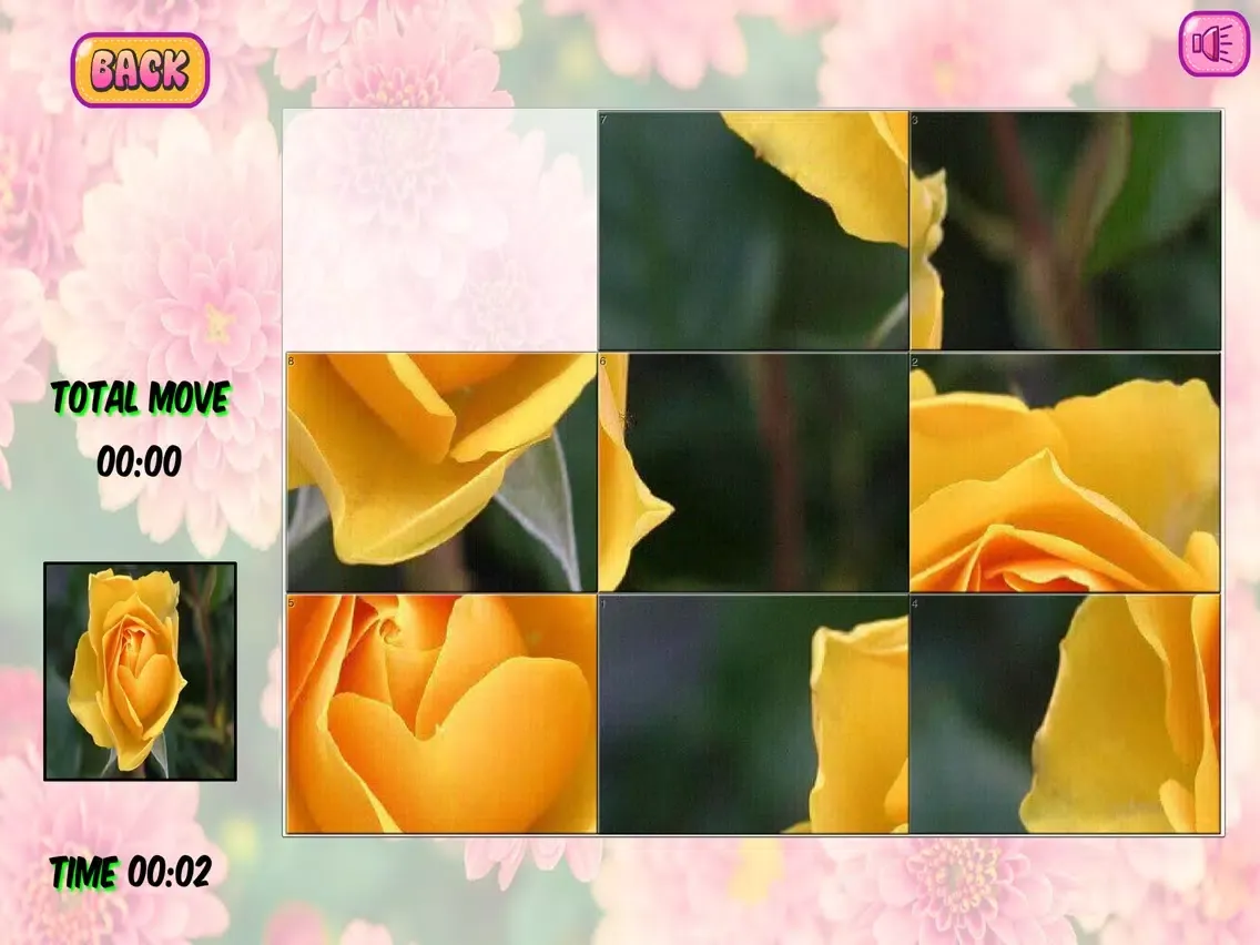Puzzles of Flowers iPad 应用截图