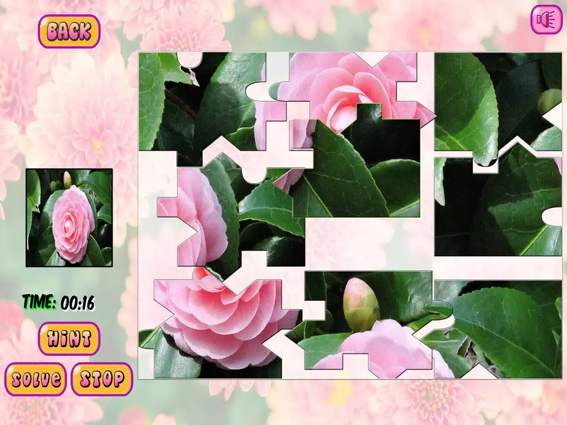 Puzzles of Flowers iPad 应用截图