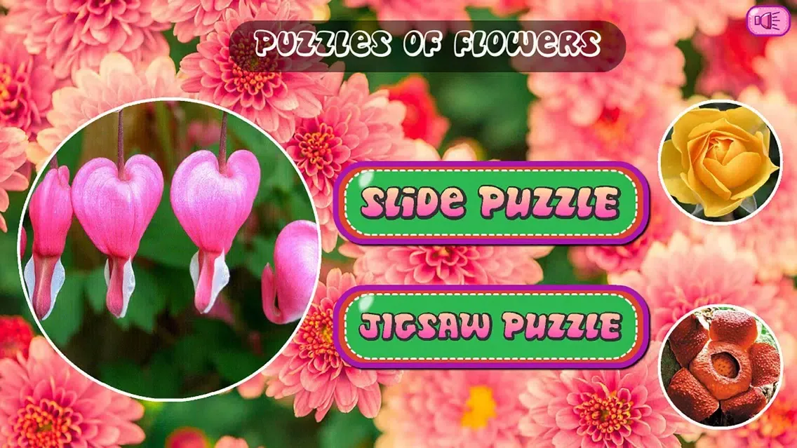 Puzzles of Flowers应用截图