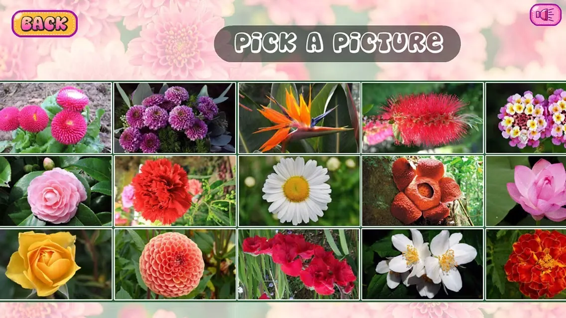 Puzzles of Flowers应用截图